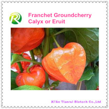 Hohe Qualität 100% natürliche Franchet Groundcherry Calyx oder Eruit